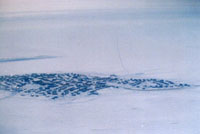 Over Cambridge Bay