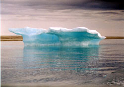 Ice floe in front of our camp