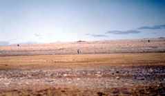 Spread out to search