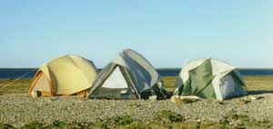 3tents.jpg - 12249 Bytes