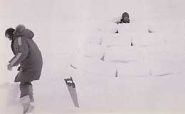igloosaw.jpg - 8194 Bytes