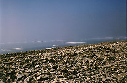 Shoreline, with sea ice