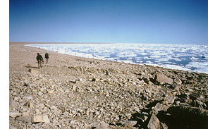 A long trek along the coastline